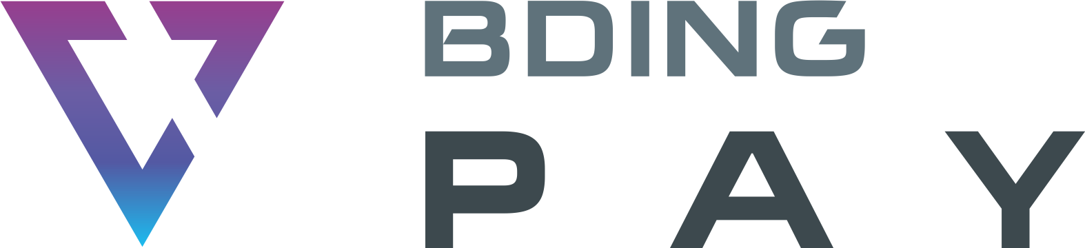 BDING PAY — Designed by Mobin Bahrami — BMDX