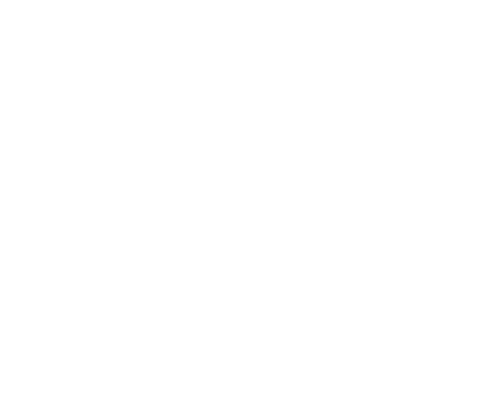 Logofolio -  Designed by Mobin Bahrami — BMDX