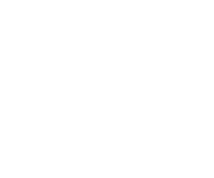 Logofolio -  Designed by Mobin Bahrami — BMDX