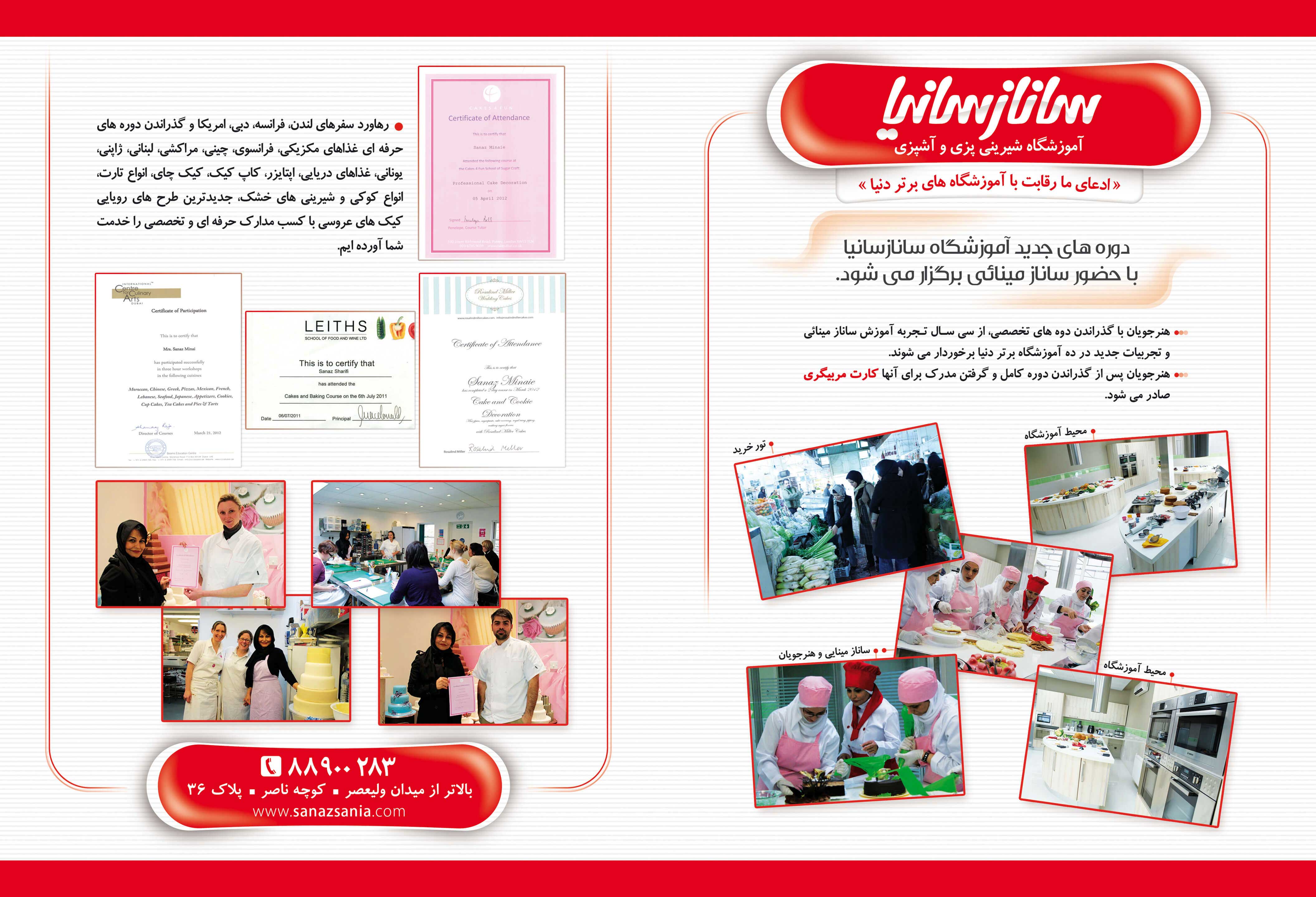 SanazSania - Advertisement and Website Designed by Mobin Bahrami — BMDX