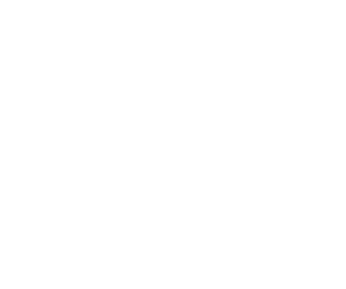 Logofolio -  Designed by Mobin Bahrami — BMDX