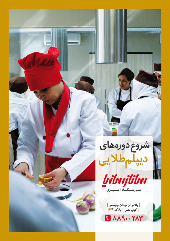 SanazSania - Advertisement and Website Designed by Mobin Bahrami — BMDX