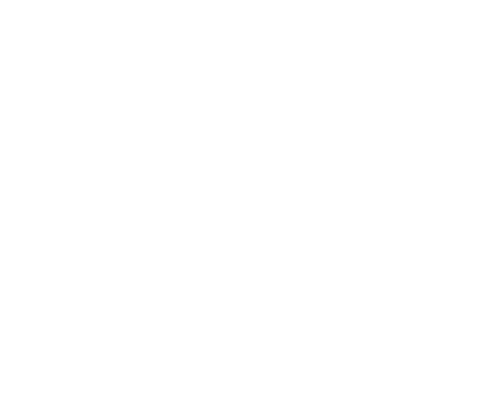 Logofolio -  Designed by Mobin Bahrami — BMDX