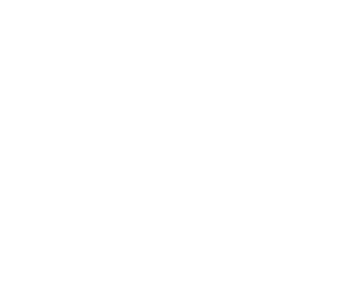 Logofolio -  Designed by Mobin Bahrami — BMDX