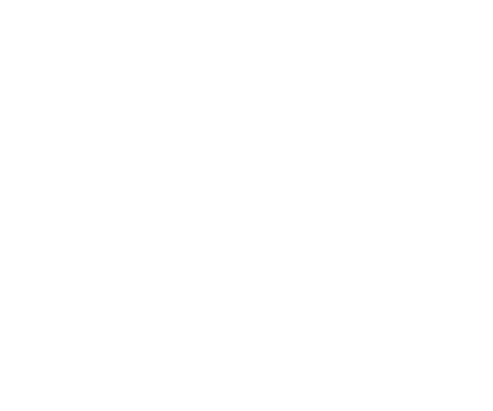 Logofolio -  Designed by Mobin Bahrami — BMDX