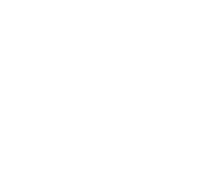 Logofolio -  Designed by Mobin Bahrami — BMDX
