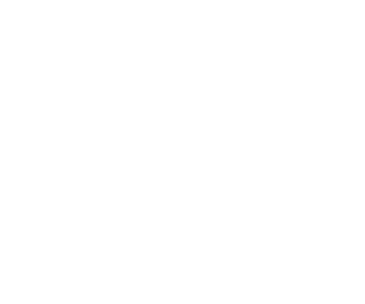 Logofolio -  Designed by Mobin Bahrami — BMDX
