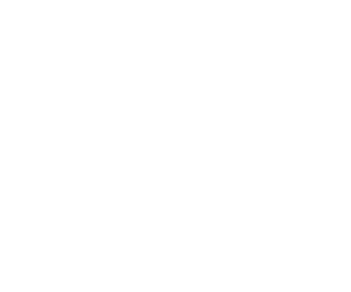 Logofolio -  Designed by Mobin Bahrami — BMDX