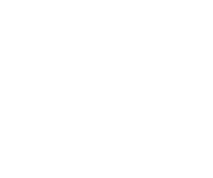 Logofolio -  Designed by Mobin Bahrami — BMDX