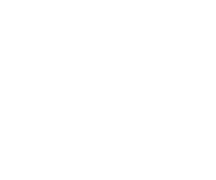 Logofolio -  Designed by Mobin Bahrami — BMDX