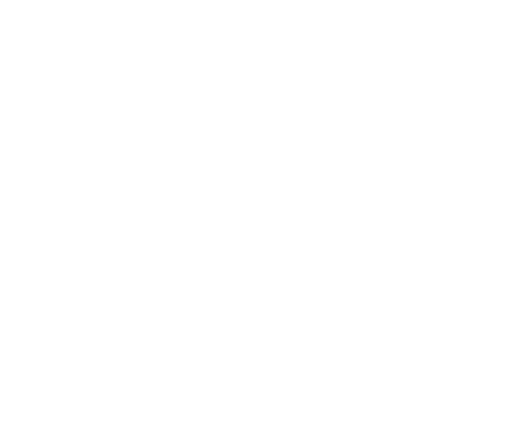 Logofolio -  Designed by Mobin Bahrami — BMDX